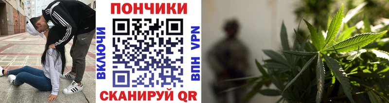 Где купить Елизово KRAKEN ONION  A-PVP  Меф мяу мяу  МАРИХУАНА  Кокаин  ГАШ 