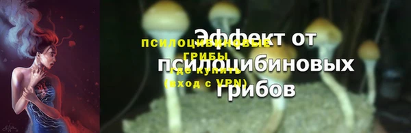 ешки Абаза