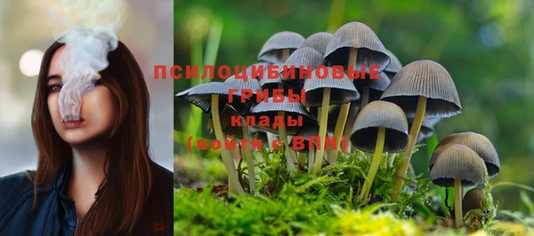 jwh Алзамай